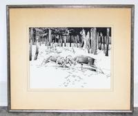 Francis Lee Jaques, (20th century), Bucks in the Snow