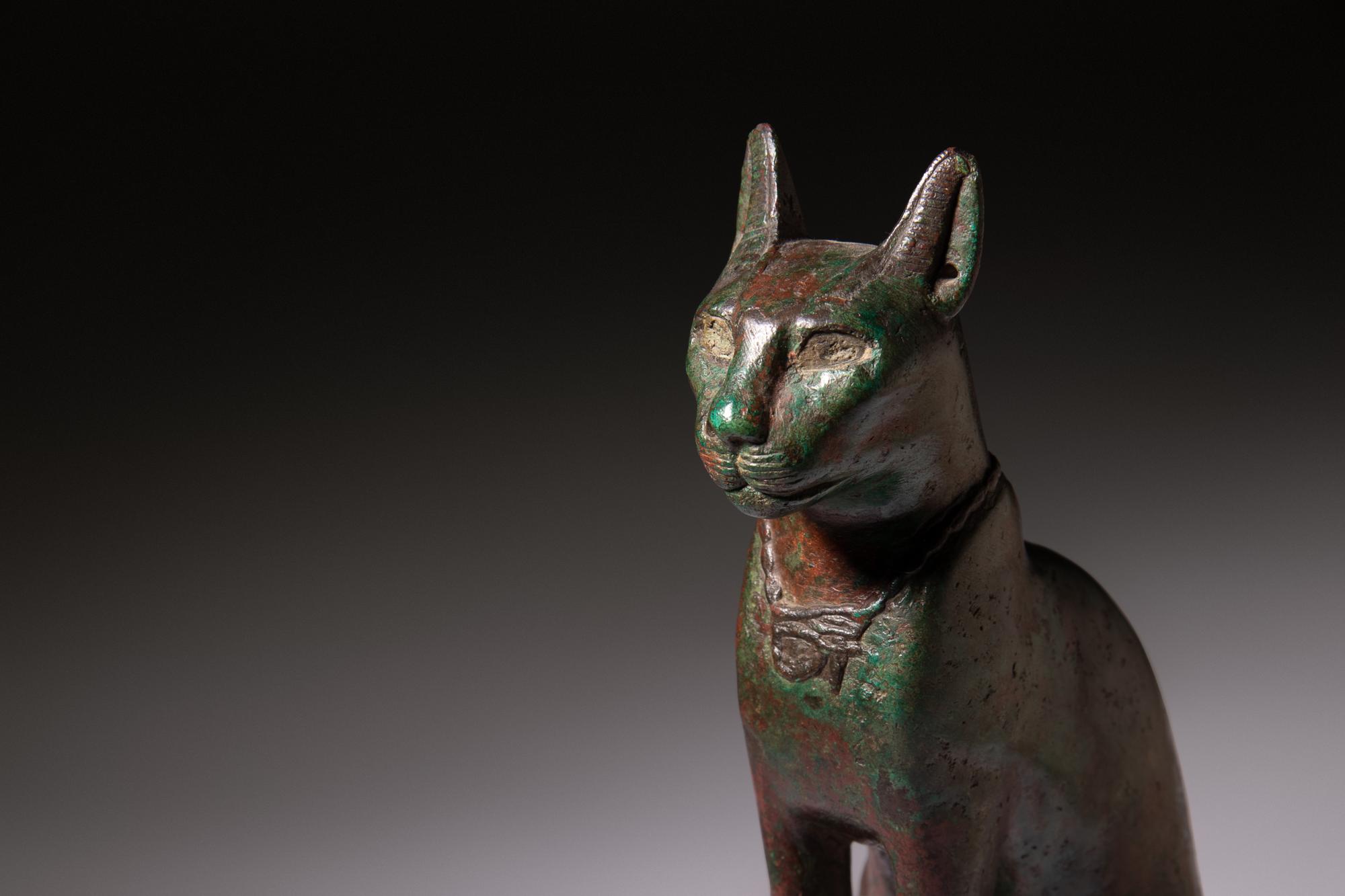 An Egyptian Bronze Cat