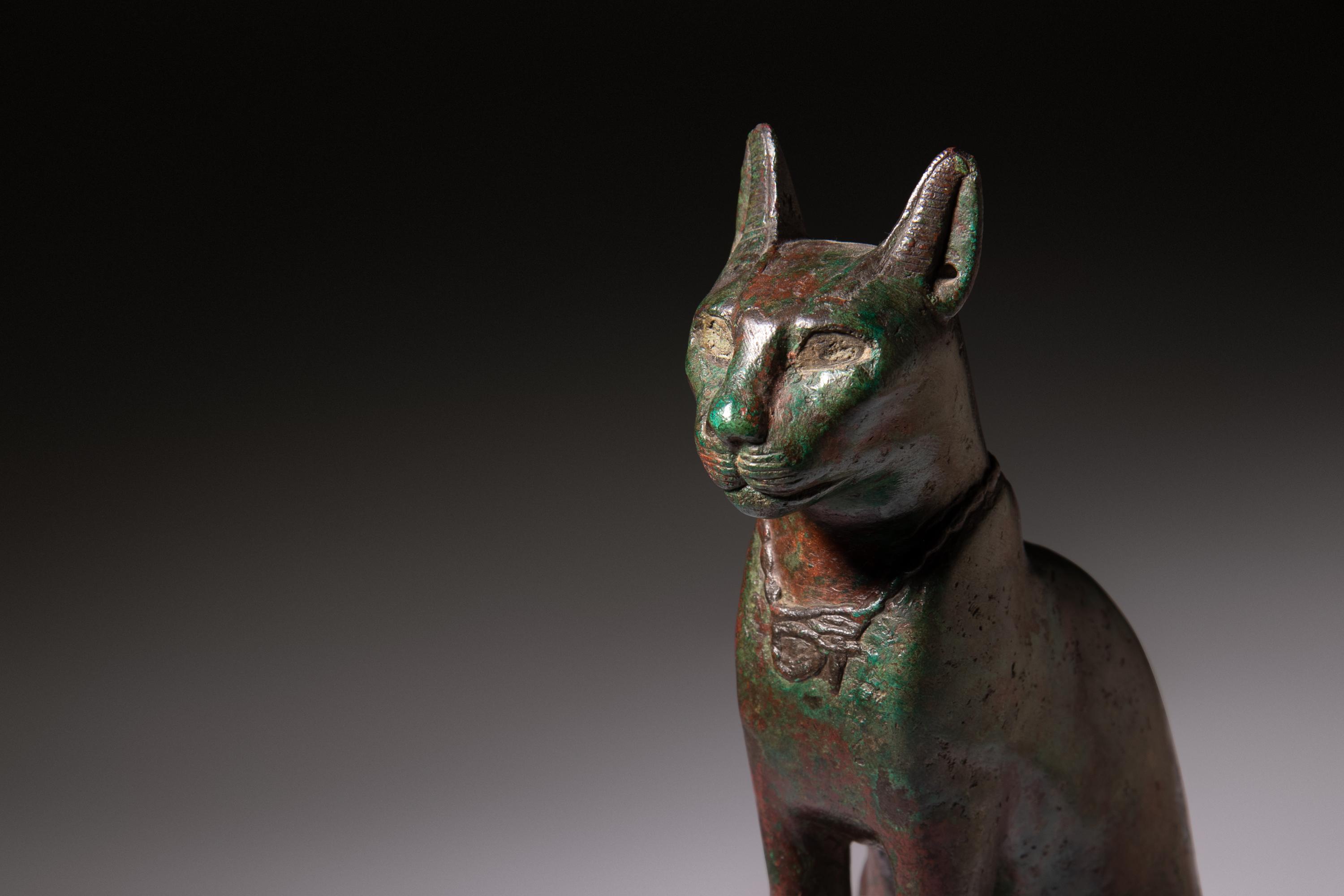 An Egyptian Bronze Cat