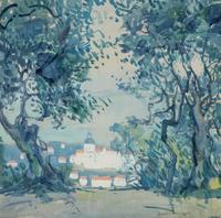 Olive Trees-San Remo