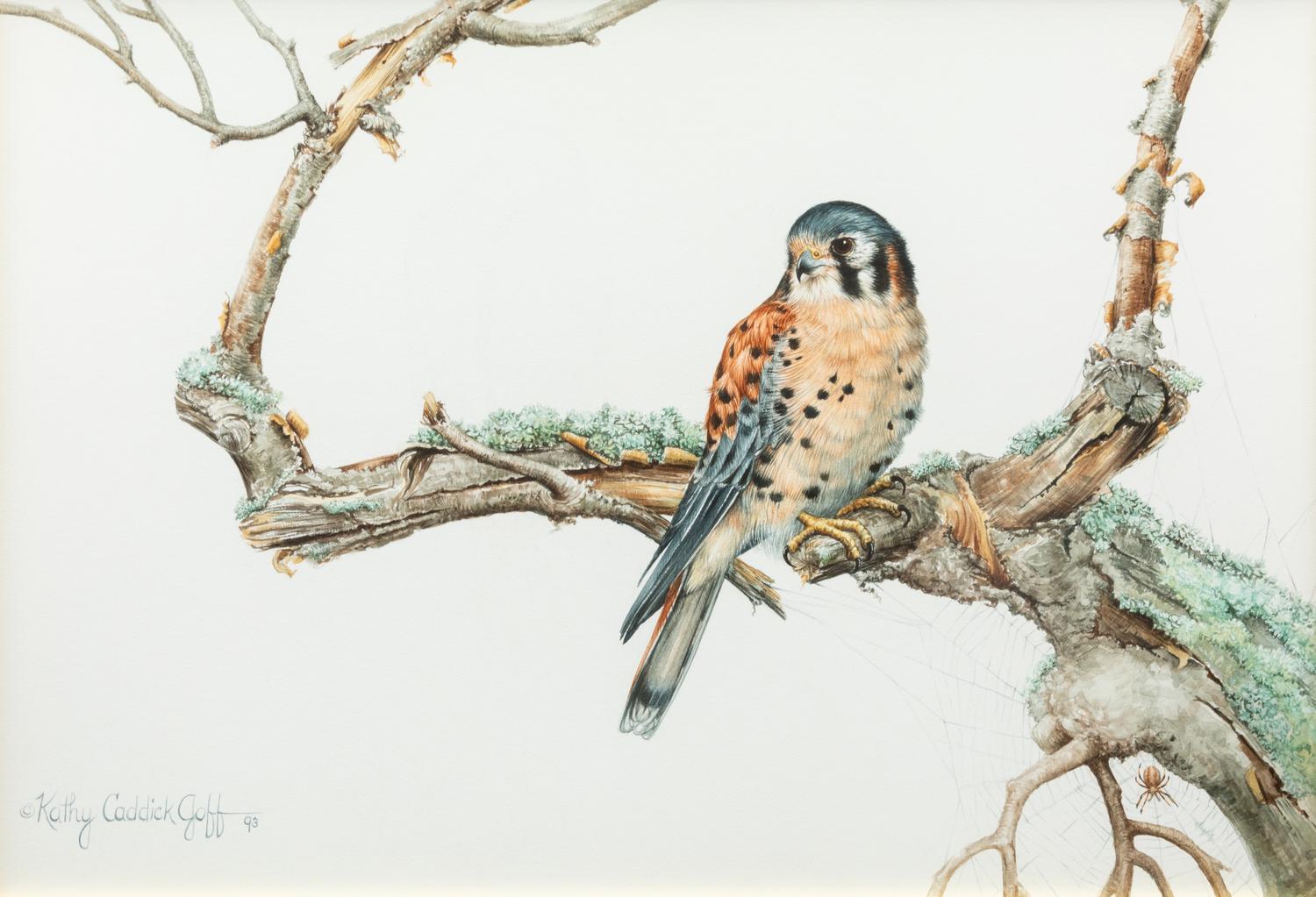 Kestrel , 1993