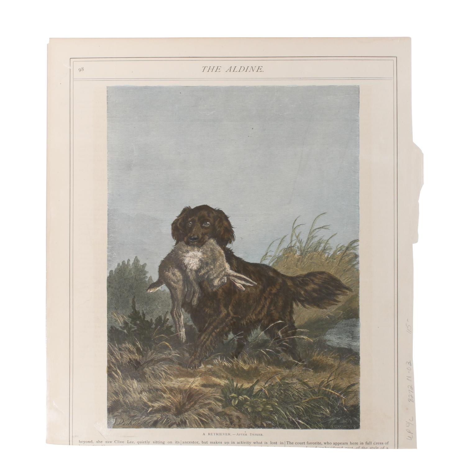 Eleven Hand Colored Dog Prints Height 71/2 x 9 inches — 19TH/20TH CENTURY