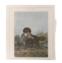 Eleven Hand Colored Dog Prints Height 71/2 x 9 inches — 19TH/20TH CENTURY