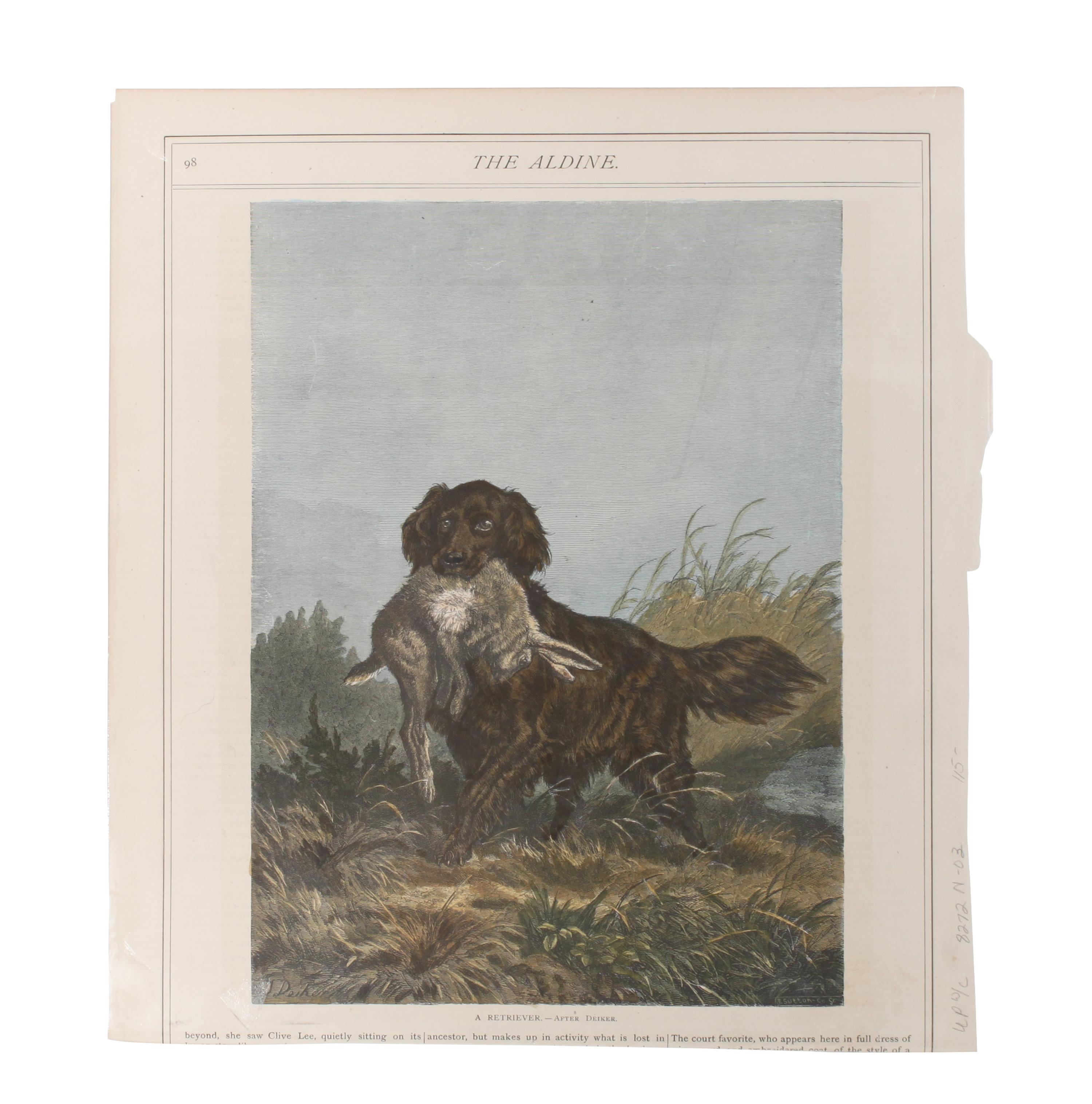 Eleven Hand Colored Dog Prints Height 71/2 x 9 inches — 19TH/20TH CENTURY