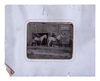 [EARLY PHOTOGRAPHY]. Half plate tintype of men, horses, & a dog outside of a "Picture Gallery."