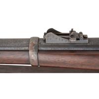 US Model 1882 Chaffee-Reece Rifle