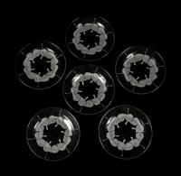 Twelve Lalique Rolleboise Plates