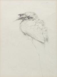 Raymond Harris Ching (New Zealand, b. 1939) — Grey Hornbill, 1978