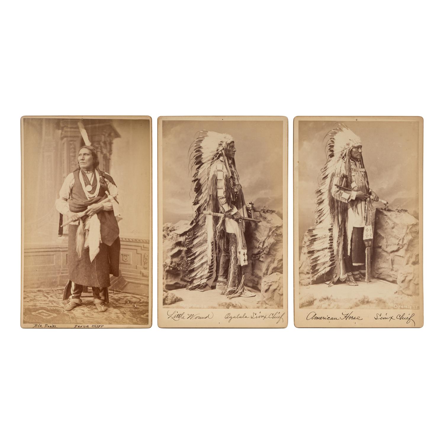 Sioux and Ponca Chiefs, including Little Wound, American Horse, and Big Snake