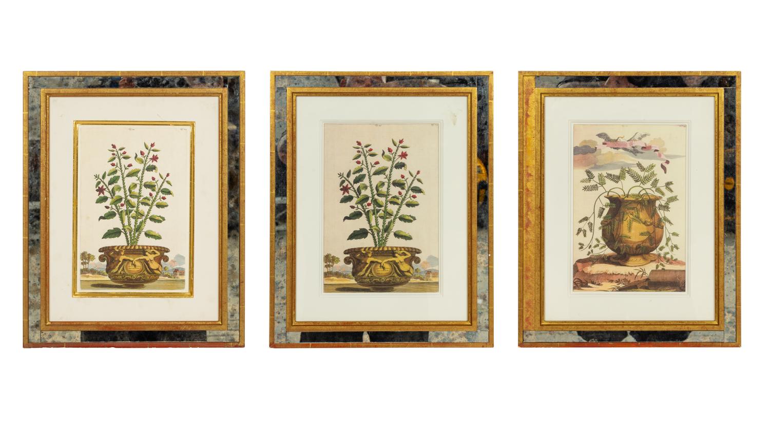 A Set of Three Framed Hand-Colored Chromolithographs