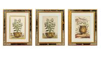 A Set of Three Framed Hand-Colored Chromolithographs