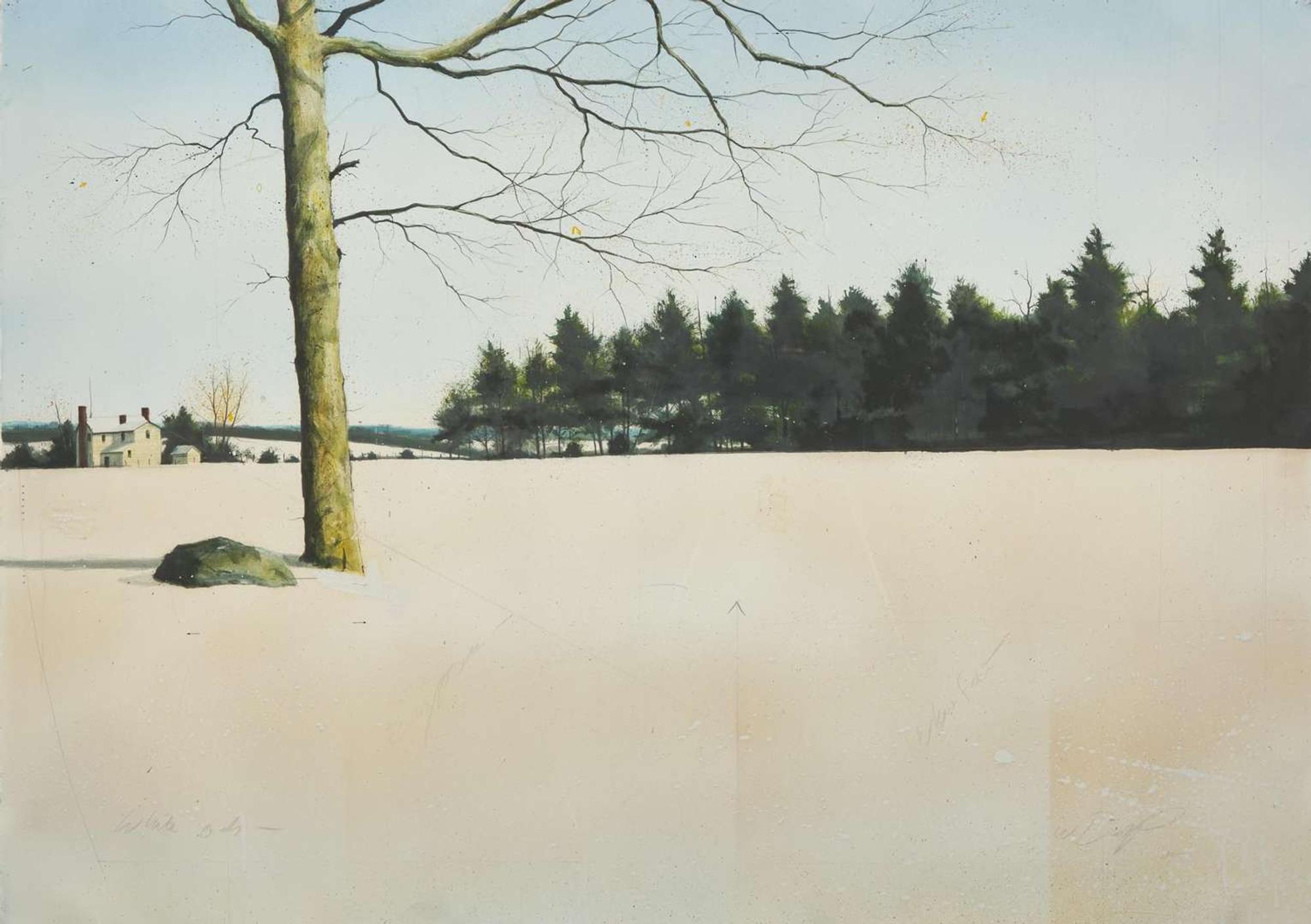 William R. Dunlap (American, b. 1944), White Oak