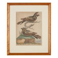 Alexander Lawson (1773-1846) and John G. Warnicke (died 1818), After Alexander Wilson (1766-1813), A Set of Sixteen Hand-Colored Engravings of Various Birds