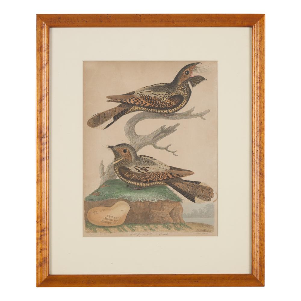 Alexander Lawson (1773-1846) and John G. Warnicke (died 1818), After Alexander Wilson (1766-1813), A Set of Sixteen Hand-Colored Engravings of Various Birds