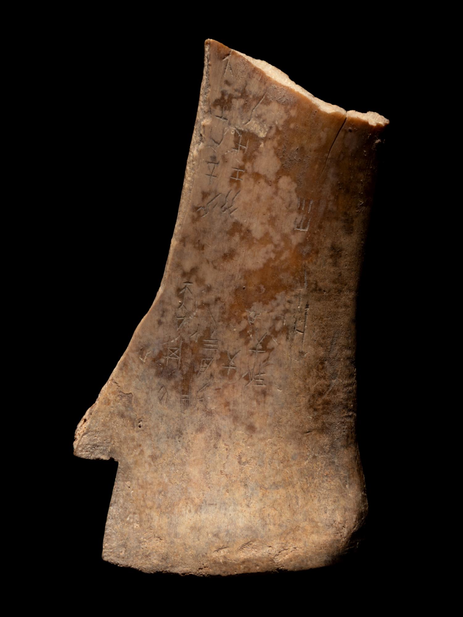 Four Oracle Bones