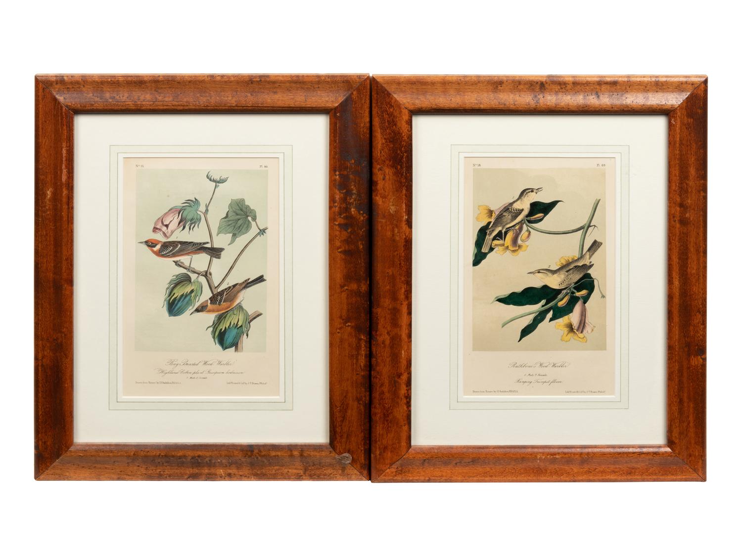After John James Audubon (American, 1785-1851)