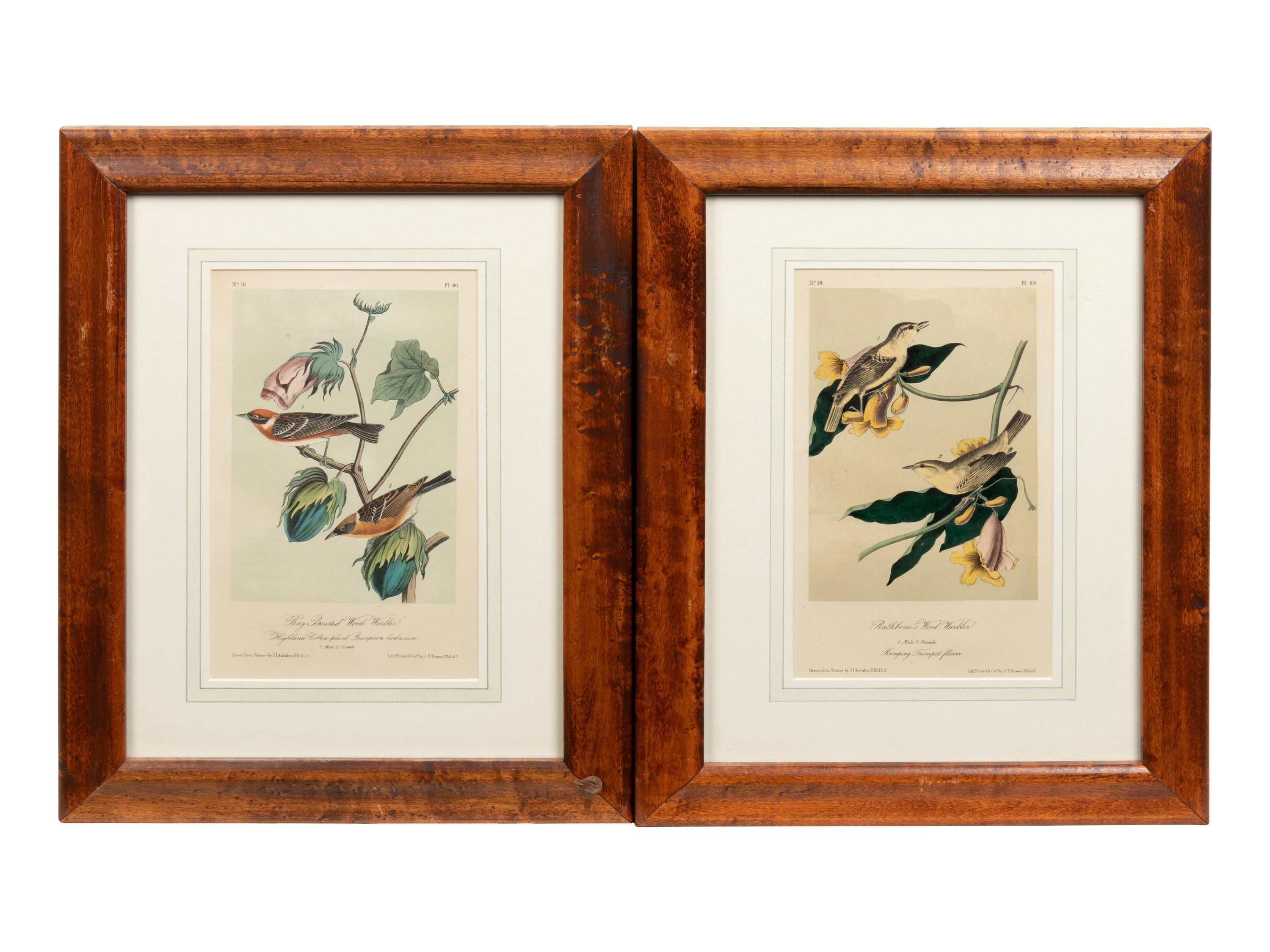 After John James Audubon (American, 1785-1851)