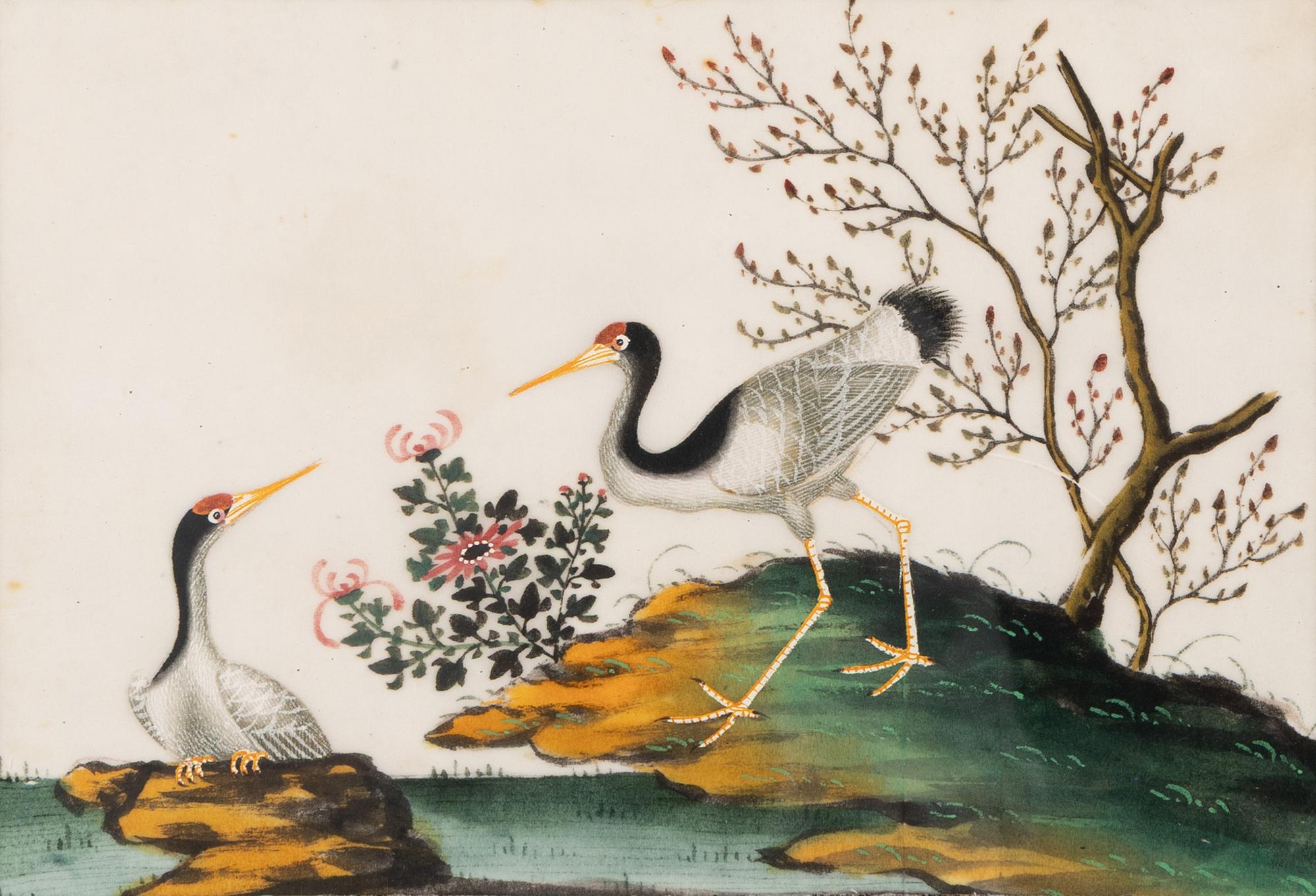 A Set of Twelve Chinese Export Watercolor and Pith Paintings