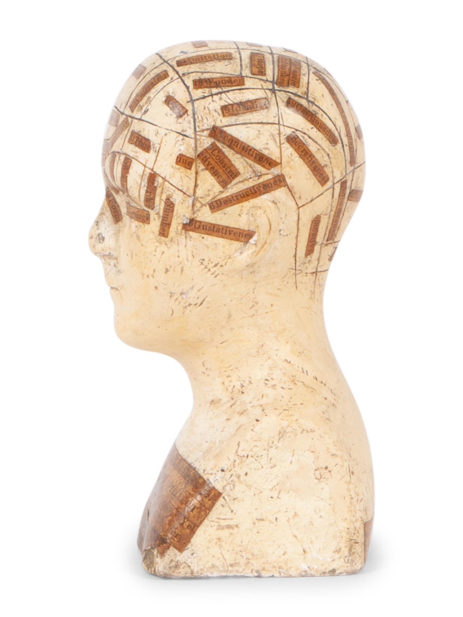 A Chalkware Phrenology Head