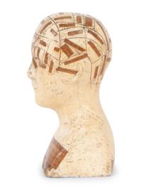 A Chalkware Phrenology Head