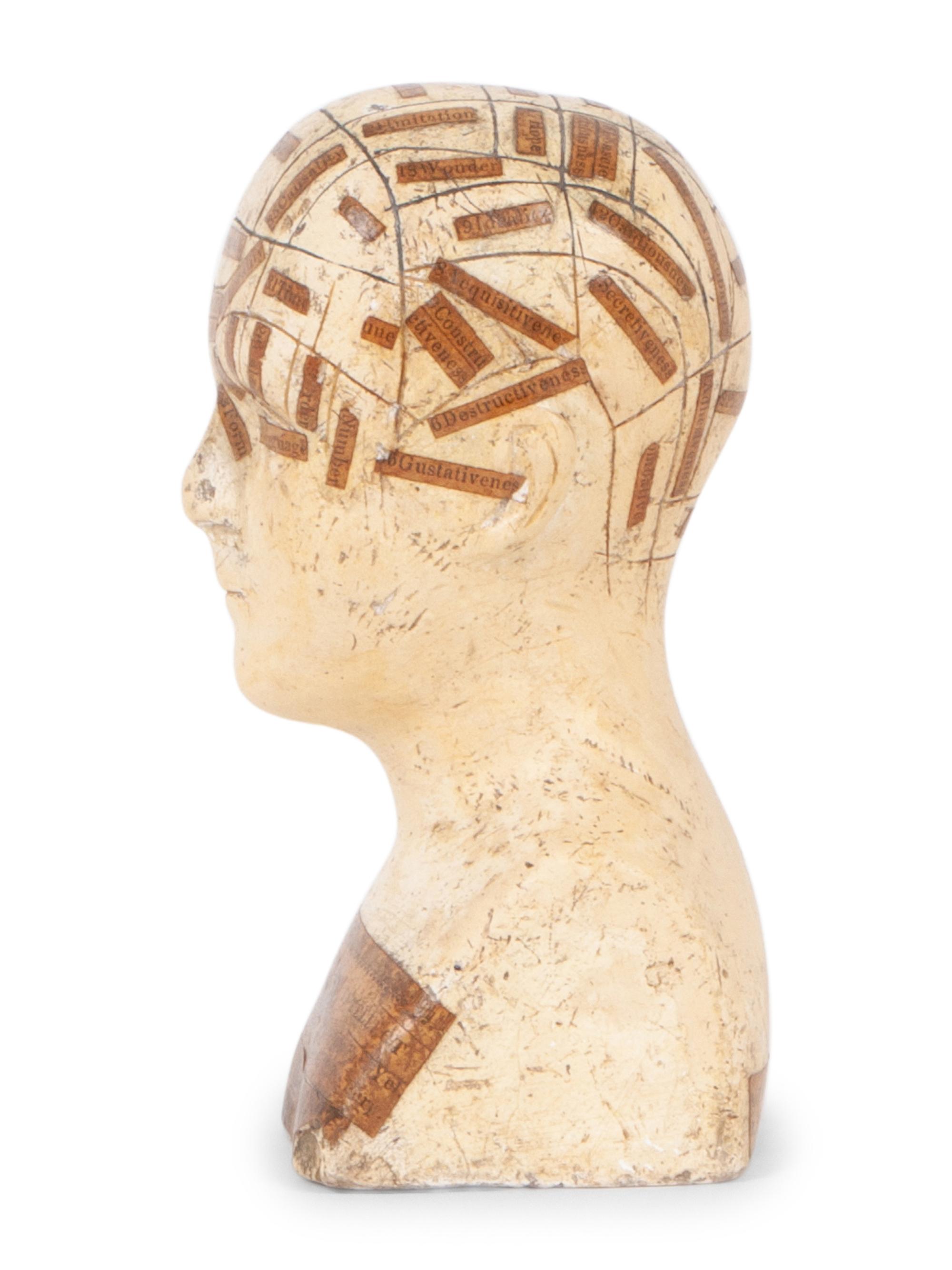 A Chalkware Phrenology Head