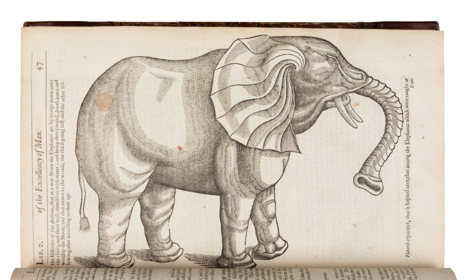 [Science & Medicine]. Pare, Ambroise (1510?-1590). The Workes of that Famous Chirurgion Ambrose Parey . London: Printed by Richard Cotes and Willi: Du-gard, to be sold by John Clarke, 1649.