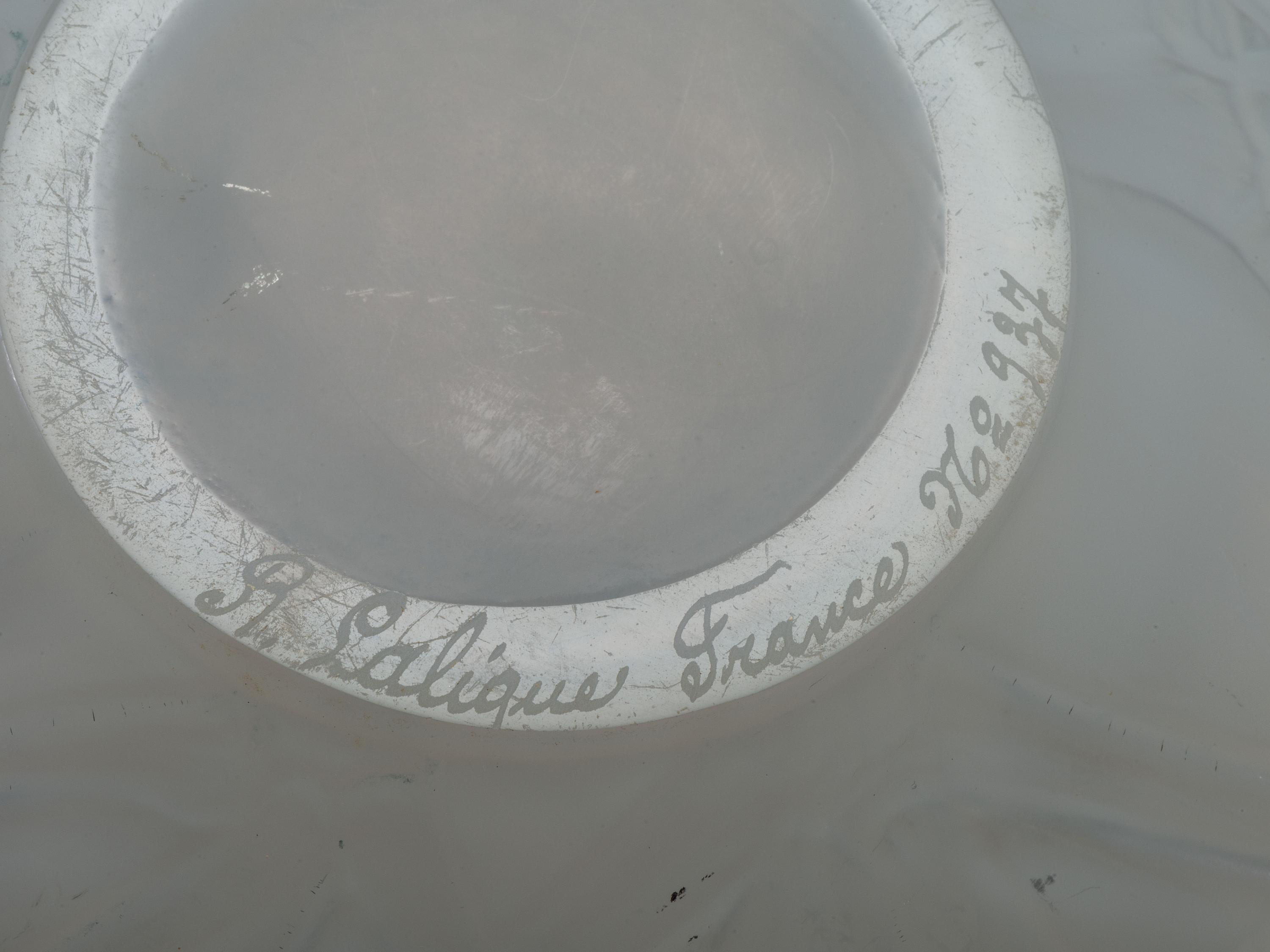 Druide Vase