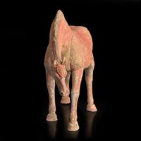 A Chinese red-painted grey pottery figure of a horse with lowered head 红色彩绘陶马 Possibly Tang dynasty ????