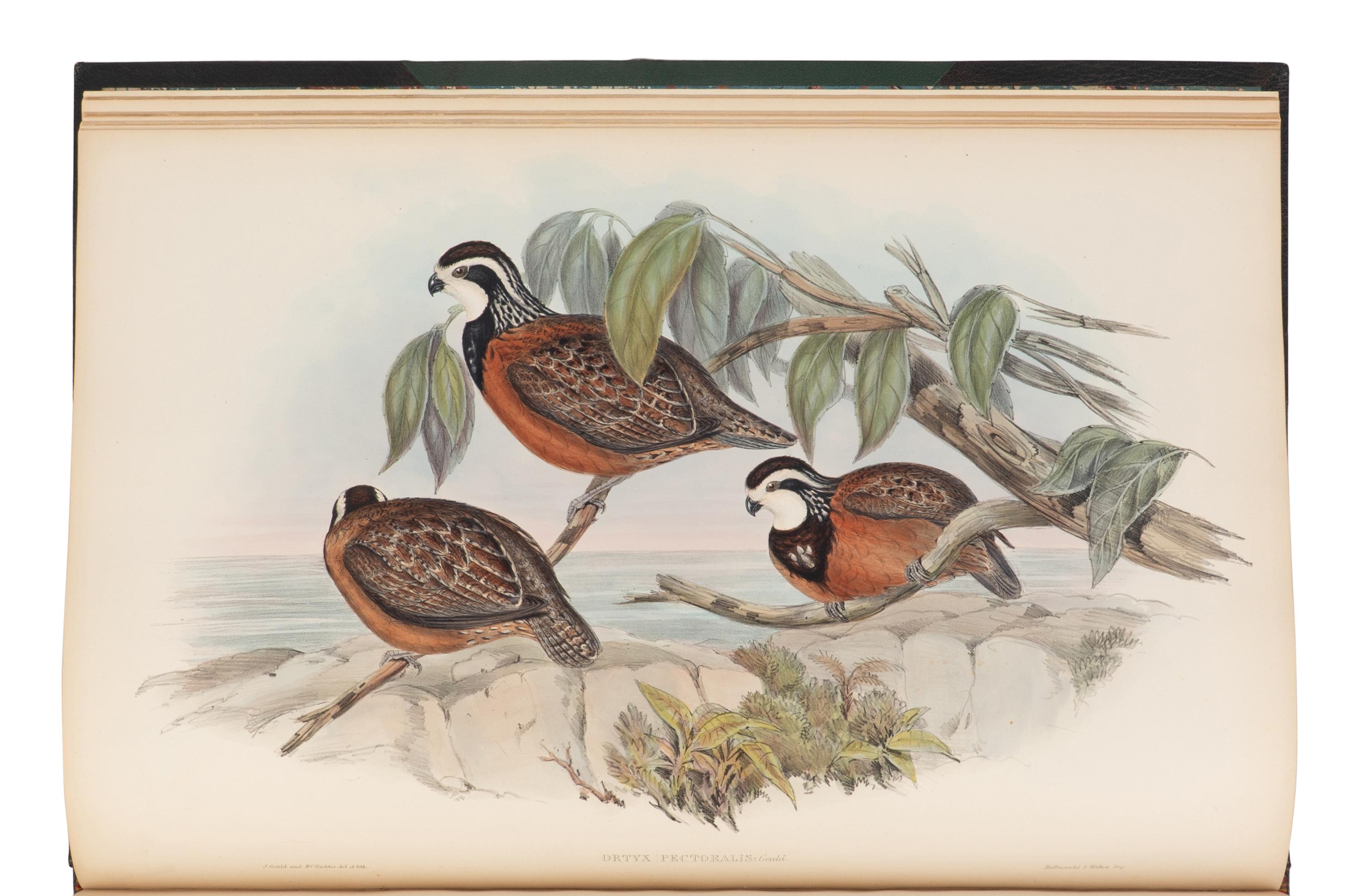 GOULD, John (1804-1881). A Monograph of the Odontophorinae, or Partridges of America . London: Richard & John E. Taylor for the Author, [1844-] 1850.