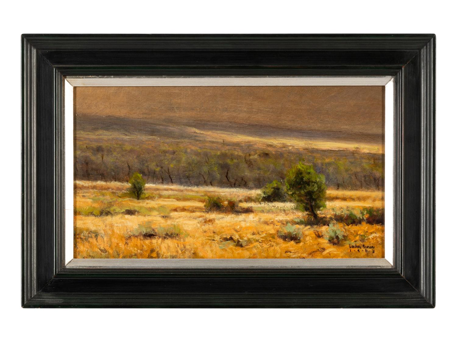 Colorado Landscape