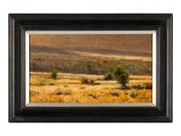Colorado Landscape