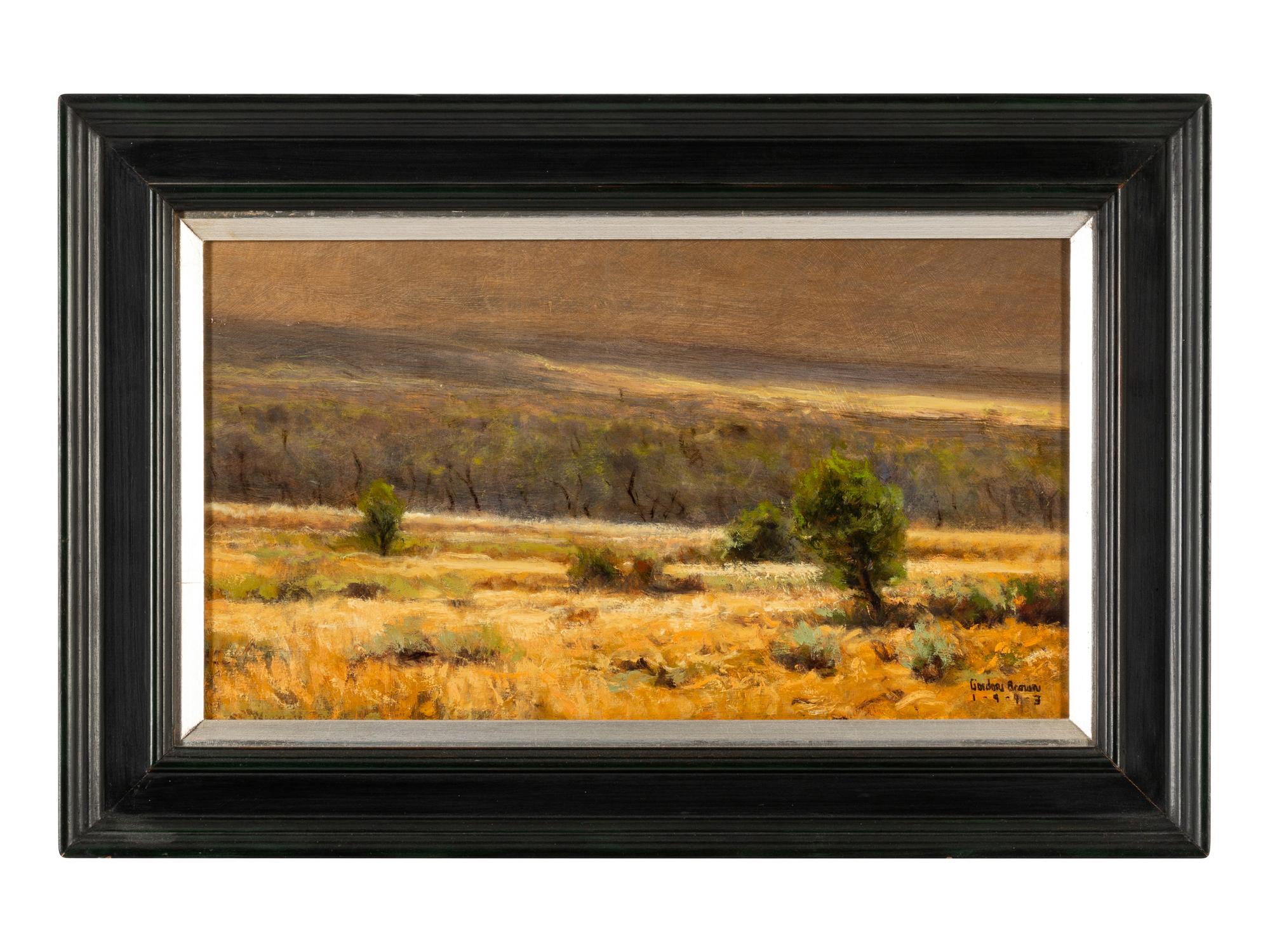 Colorado Landscape