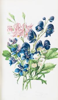 (BOTANY) PRATT, ANNE. The Flowering Plants, Grasses, Sedges, and Ferns of Great Britain. London, n.d. [c. 1870]. 6 vols.