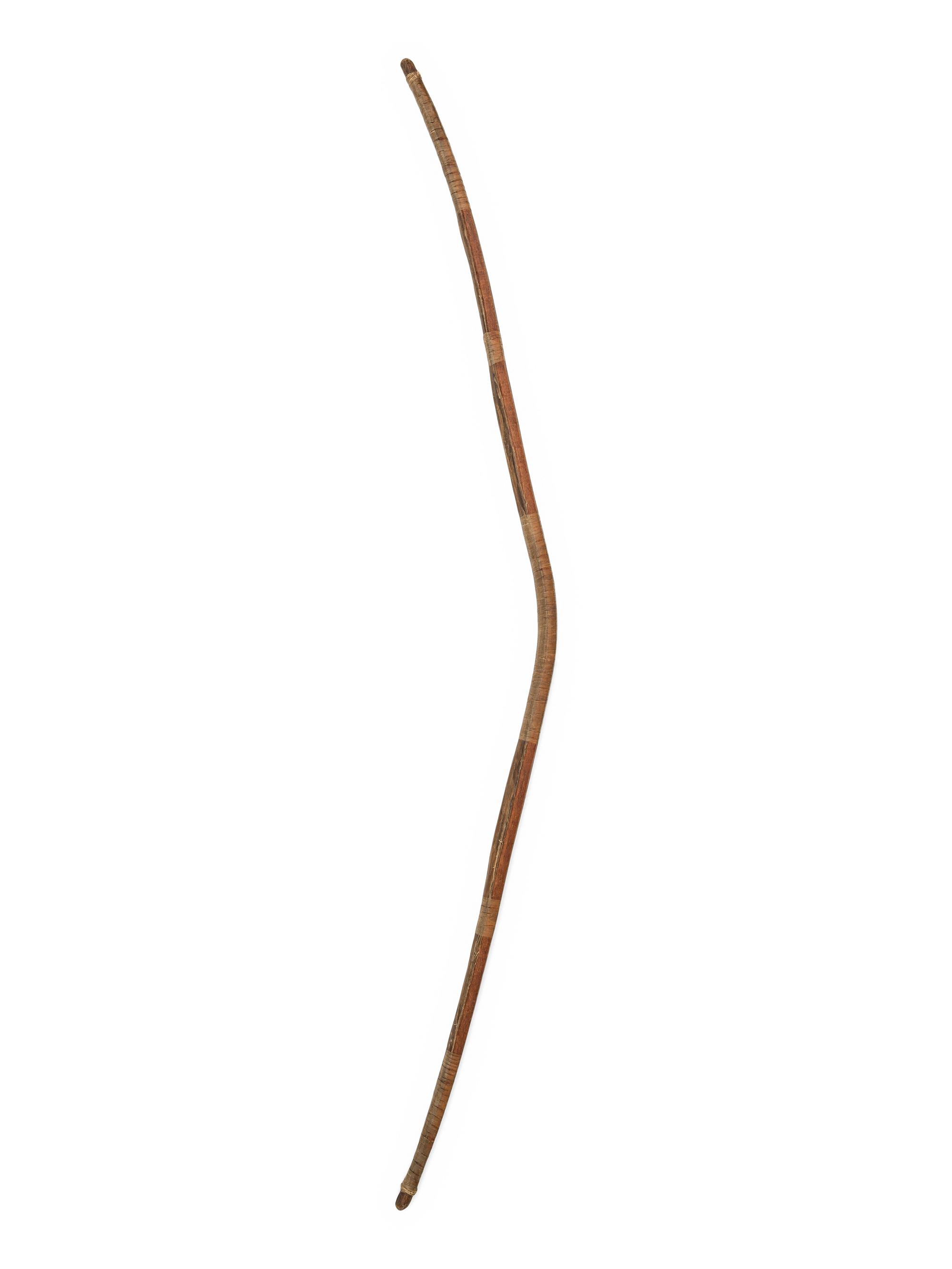 Apache Sinew-Backed Recurve Bow