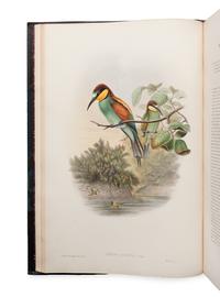 [NATURAL HISTORY]. GOULD, John (1804-1881). The Birds of Great Britain . London: Taylor and Francis, [1862-] 1873.
