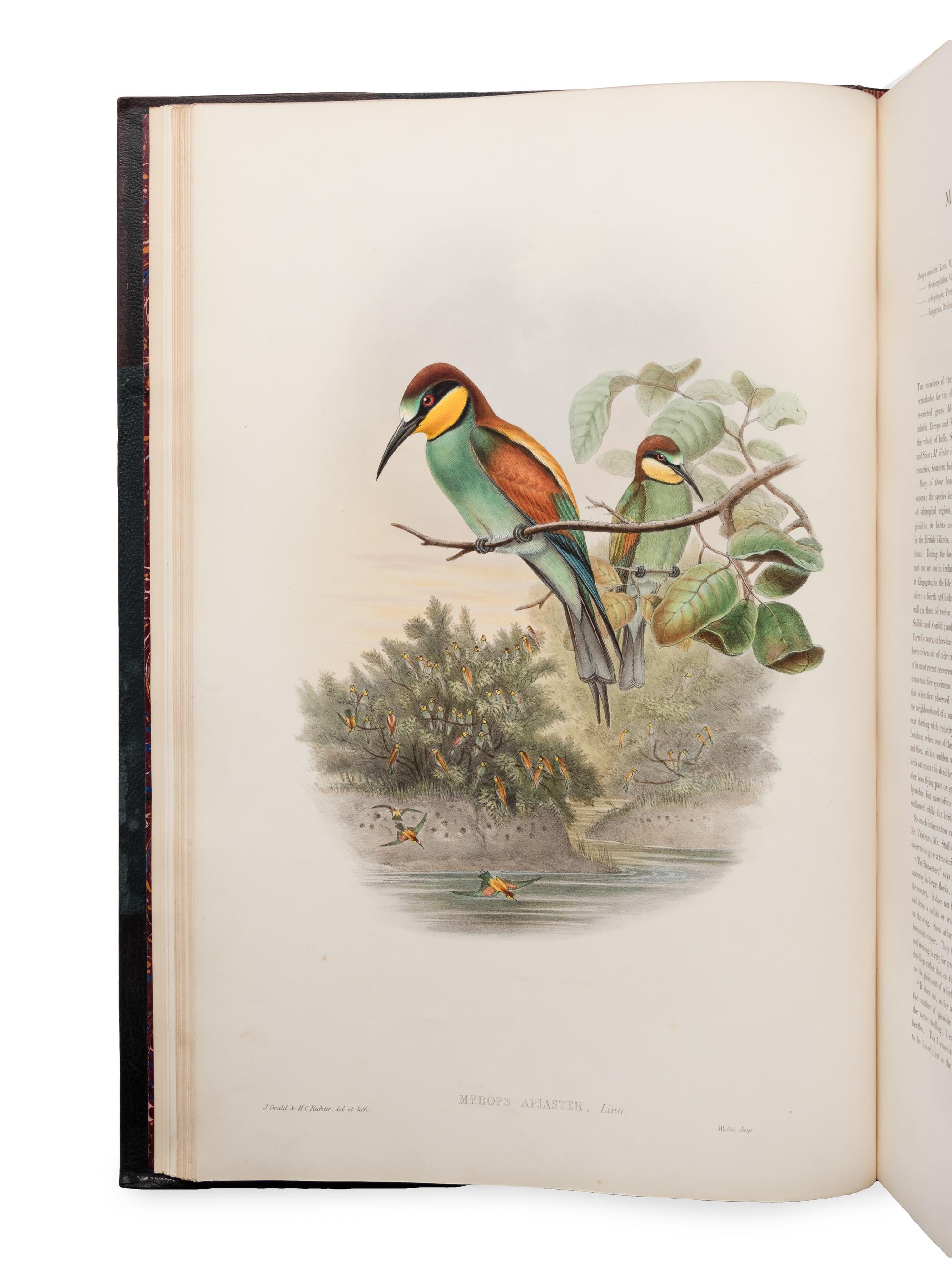[NATURAL HISTORY]. GOULD, John (1804-1881). The Birds of Great Britain . London: Taylor and Francis, [1862-] 1873.