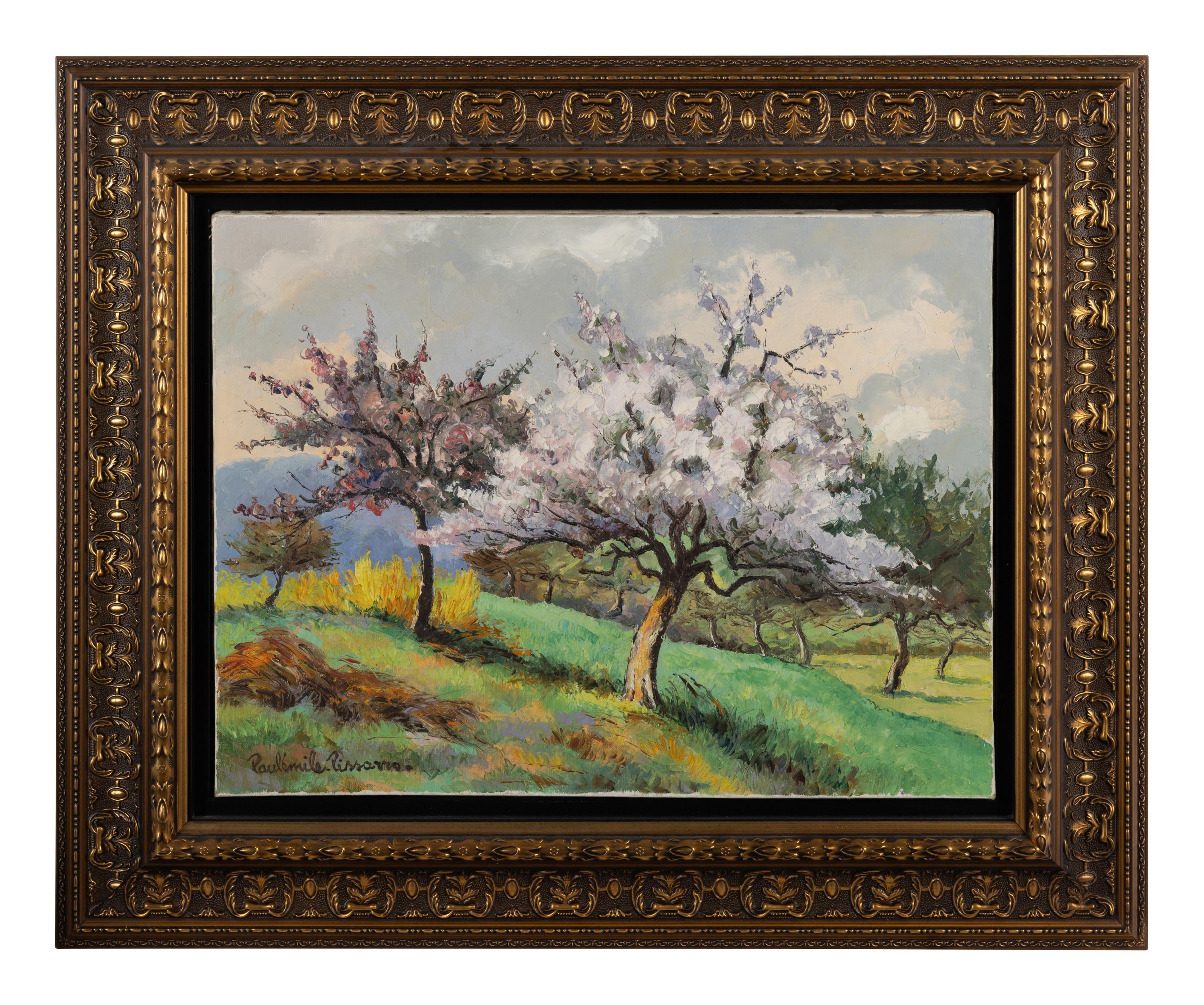 Pommiers et genêts en fleurs