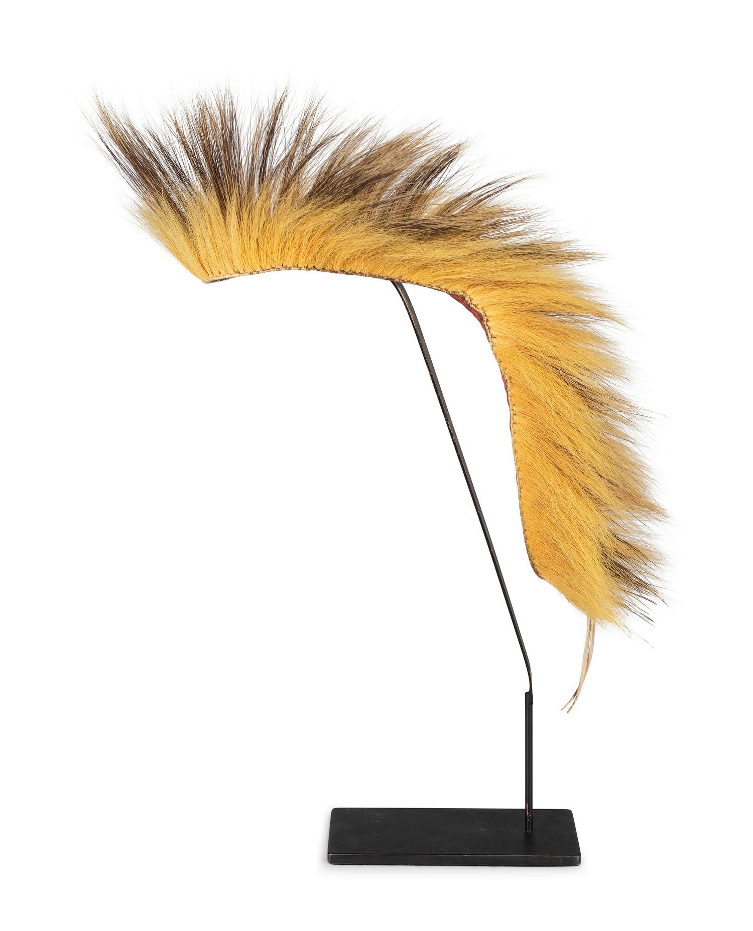 Plains Porcupine Hair Roach
