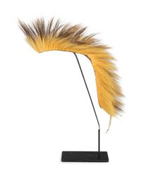 Plains Porcupine Hair Roach