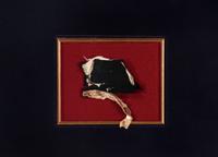 [LINCOLN ASSASSINATION]. A piece of President Abraham Lincoln's coat worn on the night of his assassination at Ford's Theatre, 14 April 1865.