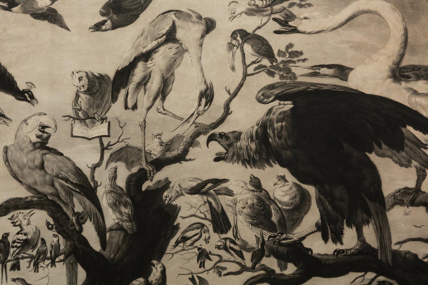 A Concert of Bird s, 1778