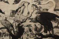 A Concert of Bird s, 1778