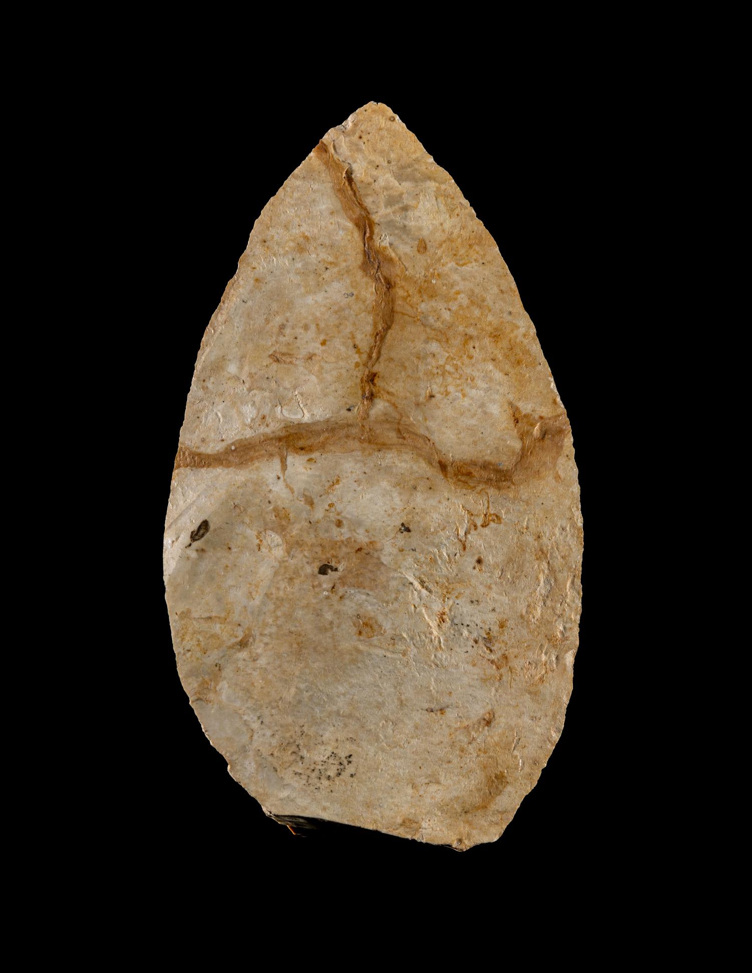 A Paleolithic Flint Point
