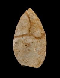 A Paleolithic Flint Point