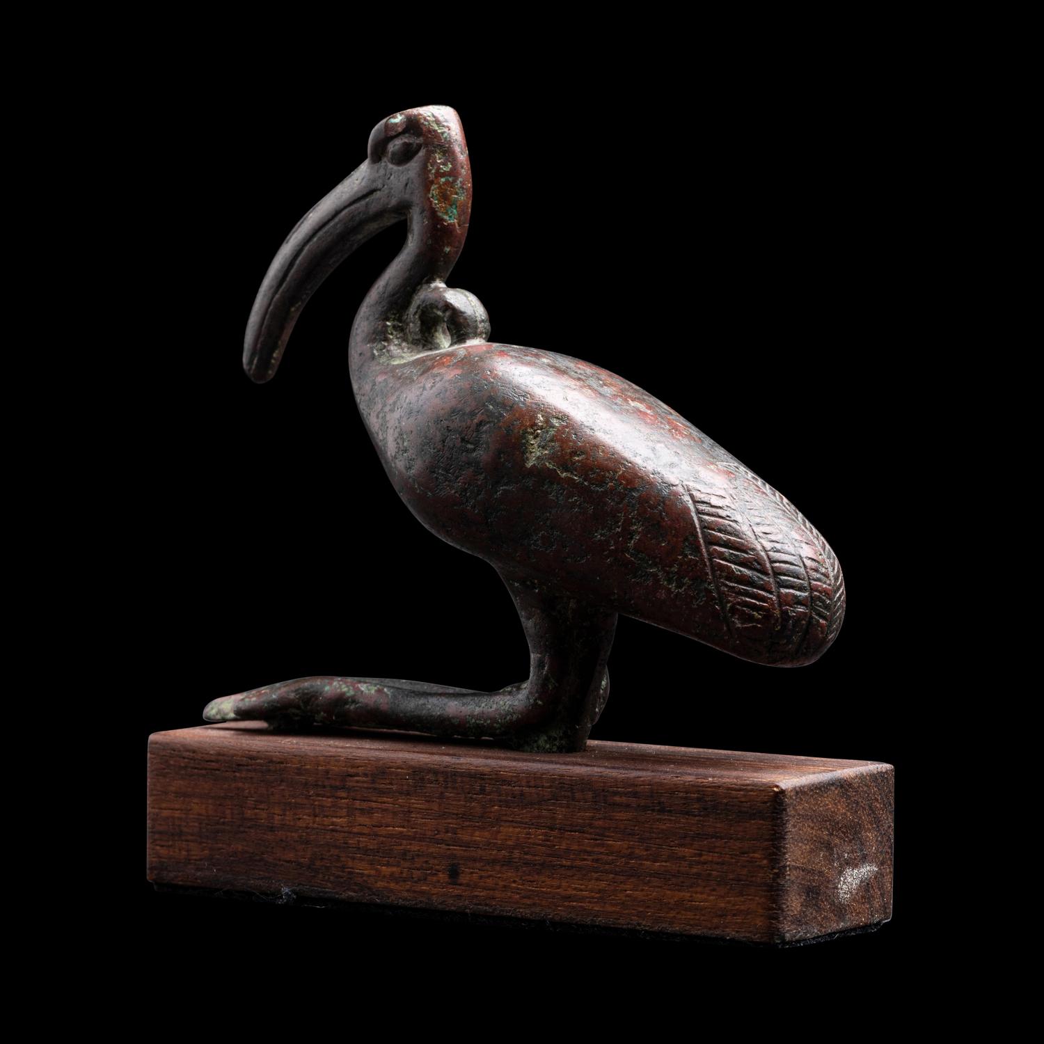 An Egyptian Bronze Ibis