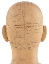 A Carved and Painted Wood Phrenology Head