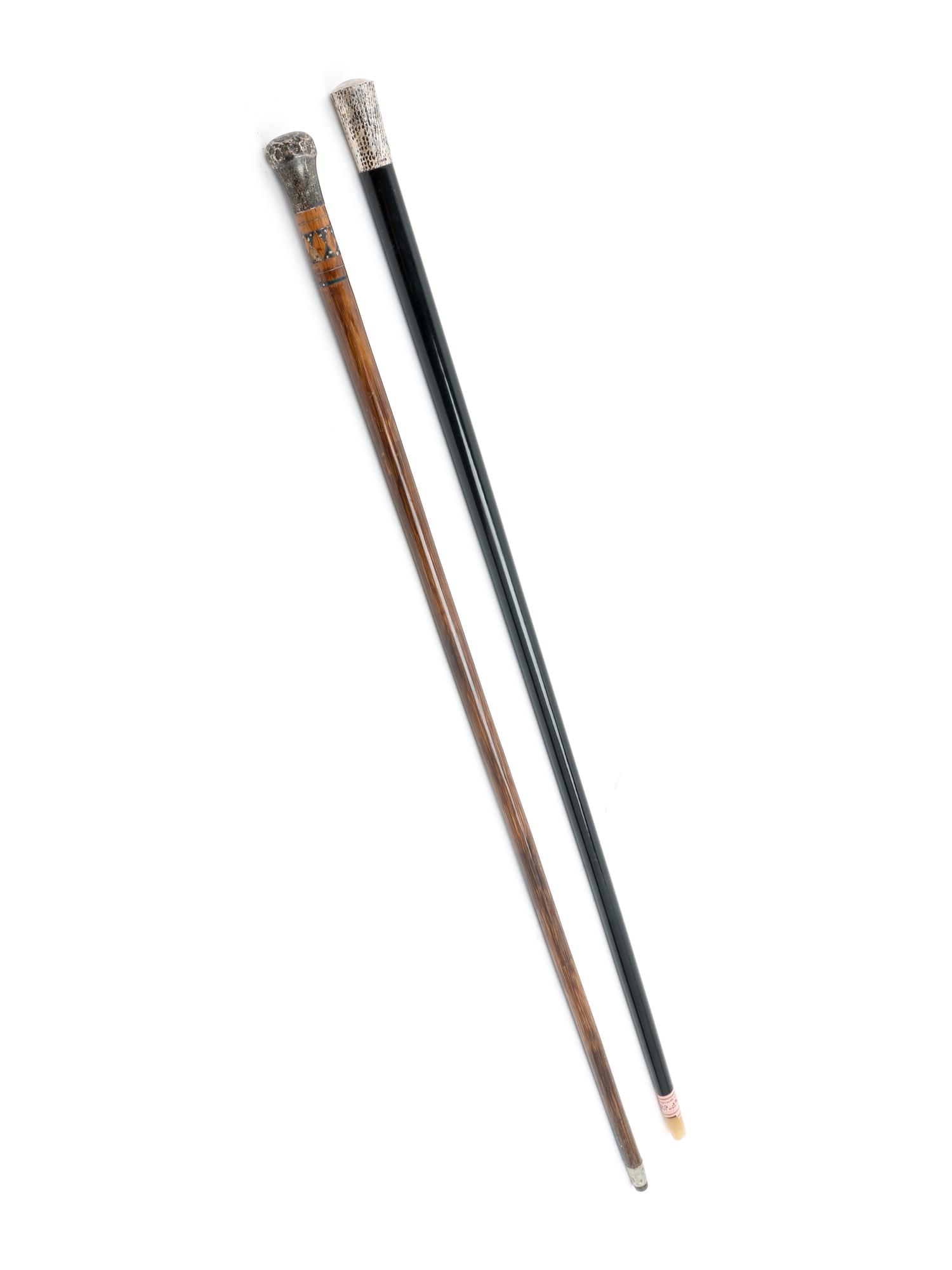 Two Silver-Handled Walking Sticks — EARLY 20TH CENTURY