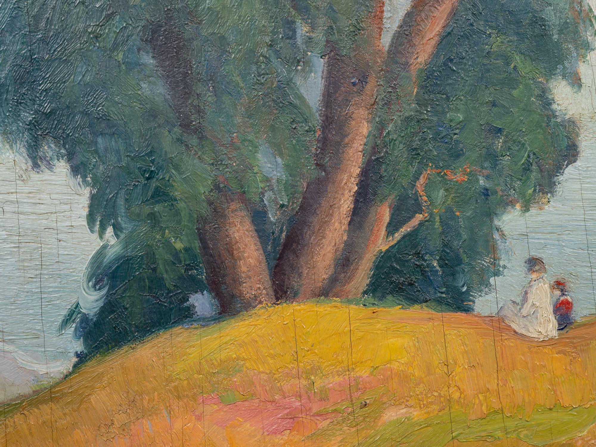 Eucalyptus Trees, Santa Monica Palisades, California