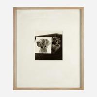 William Wegman (American, b. 1943) Double Portrait (plate VII from Man Ray: A Portfolio of 10 Photographs)