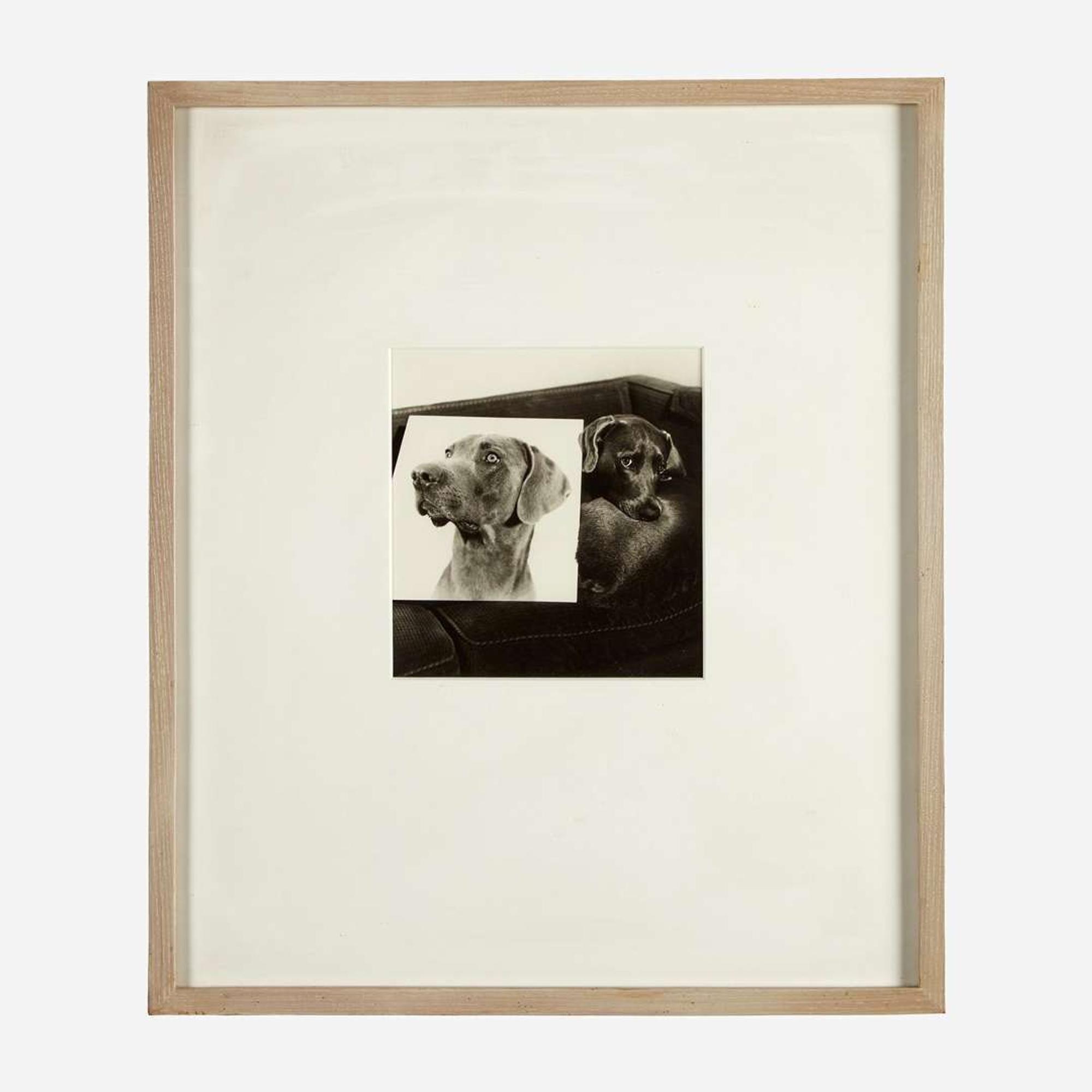 William Wegman (American, b. 1943) Double Portrait (plate VII from Man Ray: A Portfolio of 10 Photographs)